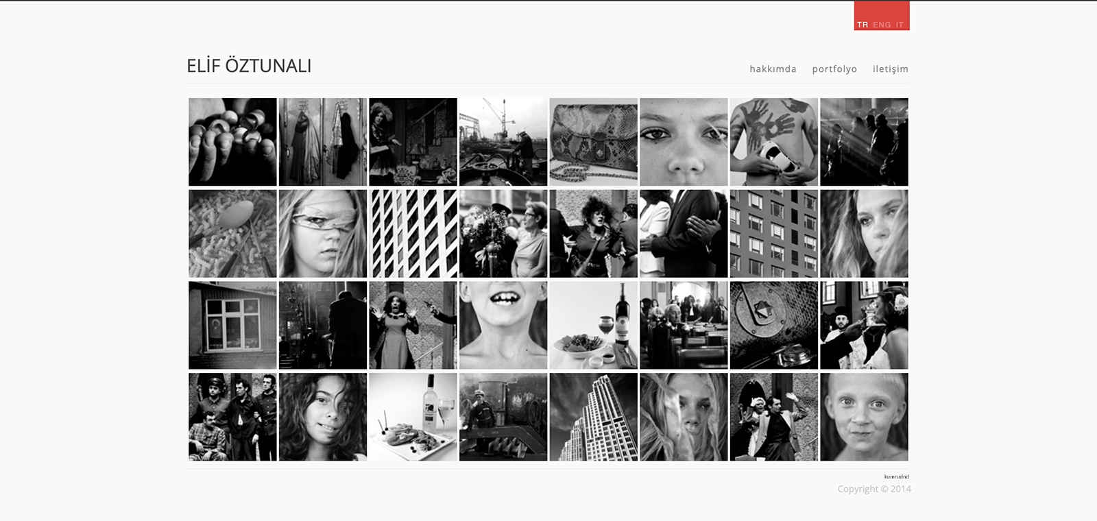 Elif Öztunalı Website